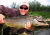 Man-Catches-and-Alligator-Fish--77528.jpg