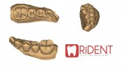 Tooth 19 Design withLogo.jpg